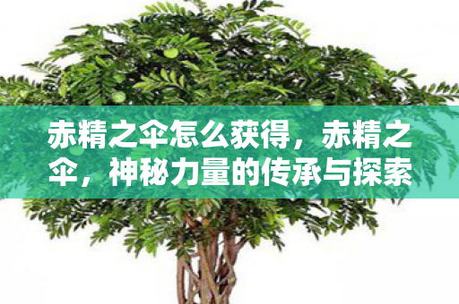 赤精之伞怎么获得，赤精之伞，神秘力量的传承与探索