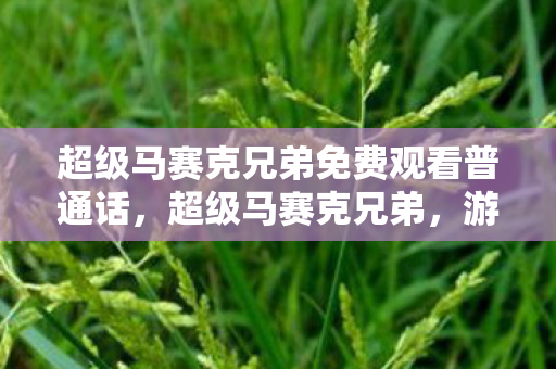 超级马赛克兄弟免费观看普通话,超级马赛克兄弟,游戏与人生的独特魅力 超级马赛克兄弟免费观看普通话,超级马赛克兄弟,游戏与人生的独特魅力