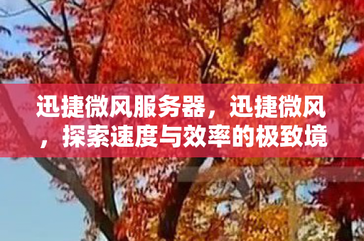 迅捷微风服务器,迅捷微风,探索速度与效率的极致境界 迅捷微风服务器,迅捷微风,探索速度与效率的极致境界