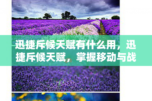 迅捷斥候天赋有什么用,迅捷斥候天赋,掌握移动与战斗的艺术 迅捷斥候天赋有什么用,迅捷斥候天赋,掌握移动与战斗的艺术