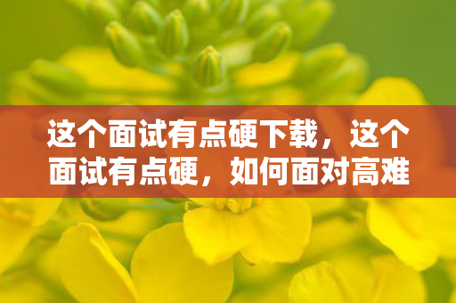 这个面试有点硬下载,这个面试有点硬,如何面对高难度挑战? 这个面试有点硬下载,这个面试有点硬,如何面对高难度挑战?