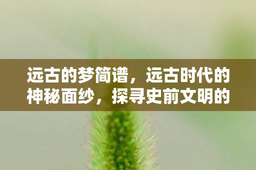 远古的梦简谱，远古时代的神秘面纱，探寻史前文明的奥秘