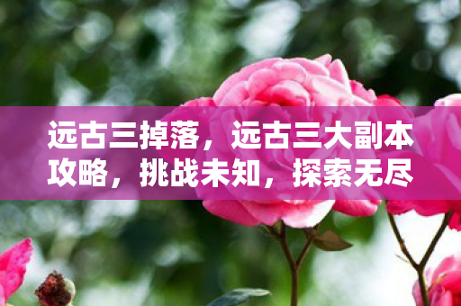 远古三掉落，远古三大副本攻略，挑战未知，探索无尽奥秘