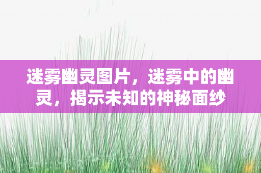 迷雾幽灵图片，迷雾中的幽灵，揭示未知的神秘面纱