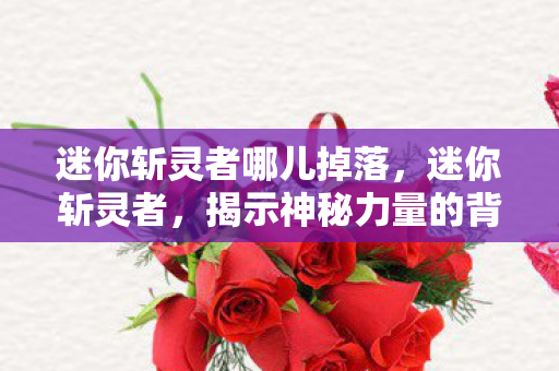 迷你斩灵者哪儿掉落，迷你斩灵者，揭示神秘力量的背后真相
