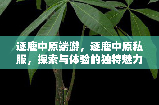 逐鹿中原端游,逐鹿中原私服,探索与体验的独特魅力 逐鹿中原端游,逐鹿中原私服,探索与体验的独特魅力