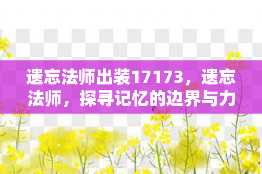 遗忘法师出装17173,遗忘法师,探寻记忆的边界与力量的神秘面纱 遗忘法师出装17173,遗忘法师,探寻记忆的边界与力量的神秘面纱