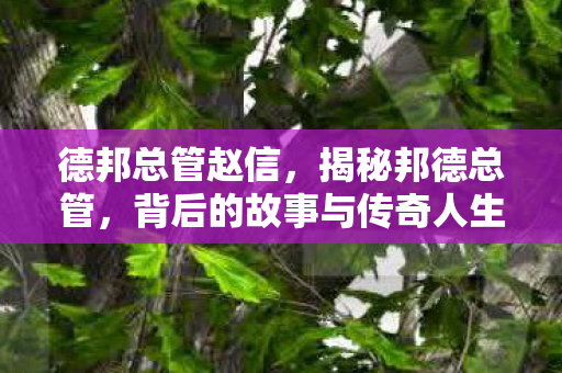 德邦总管赵信,揭秘邦德总管,背后的故事与传奇人生 德邦总管赵信,揭秘邦德总管,背后的故事与传奇人生
