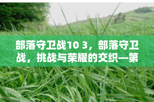 部落守卫战10 3，部落守卫战，挑战与荣耀的交织—第10-4章节详解