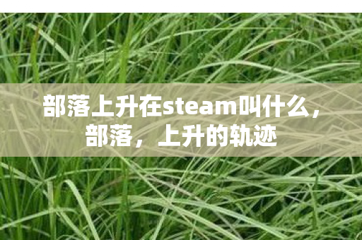 部落上升在steam叫什么,部落,上升的轨迹 部落上升在steam叫什么,部落,上升的轨迹