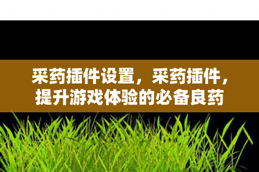 采药插件设置,采药插件,提升游戏体验的必备良药 采药插件设置,采药插件,提升游戏体验的必备良药
