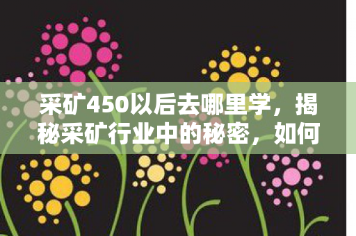 采矿450以后去哪里学，揭秘采矿行业中的秘密，如何达到采矿效率450？