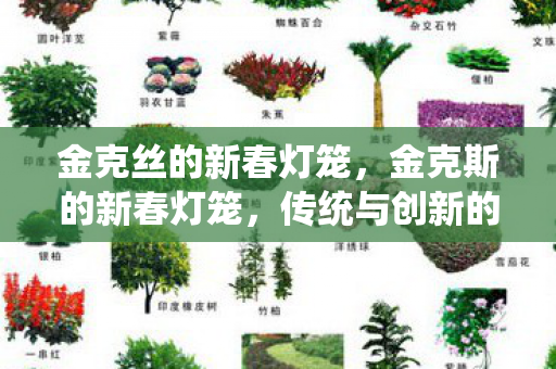 金克丝的新春灯笼,金克斯的新春灯笼,传统与创新的融合之美 金克丝的新春灯笼,金克斯的新春灯笼,传统与创新的融合之美