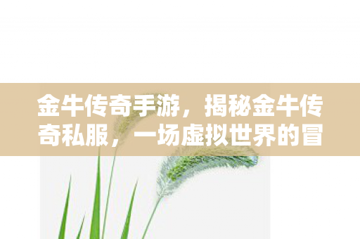 金牛传奇手游，揭秘金牛传奇私服，一场虚拟世界的冒险之旅