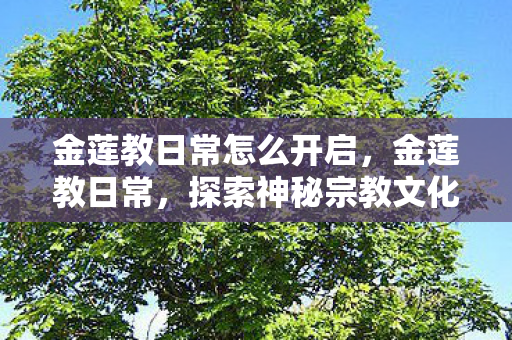 金莲教日常怎么开启,金莲教日常,探索神秘宗教文化的独特魅力 金莲教日常怎么开启,金莲教日常,探索神秘宗教文化的独特魅力