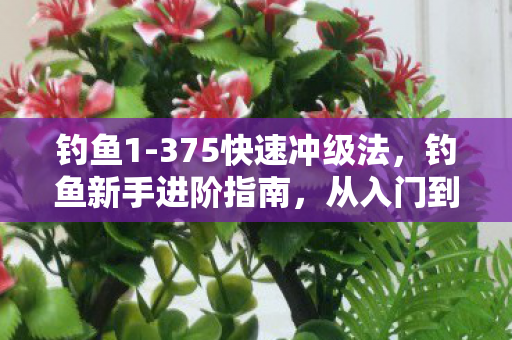钓鱼1-375快速冲级法,钓鱼新手进阶指南,从入门到精通的全方位解析(1-375) 钓鱼1-375快速冲级法,钓鱼新手进阶指南,从入门到精通的全方位解析(1-375)