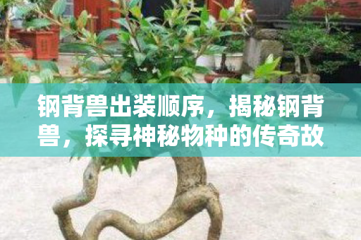 钢背兽出装顺序,揭秘钢背兽,探寻神秘物种的传奇故事 钢背兽出装顺序,揭秘钢背兽,探寻神秘物种的传奇故事