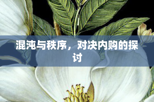 混沌与秩序,对决内购的探讨 混沌与秩序,对决内购的探讨