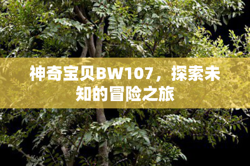 神奇宝贝BW107,探索未知的冒险之旅 神奇宝贝BW107,探索未知的冒险之旅