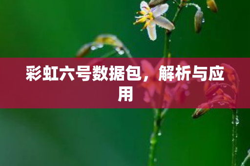 彩虹六号数据包，解析与应用