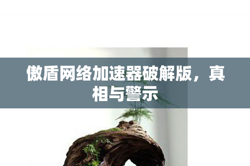 傲盾网络加速器破解版，真相与警示