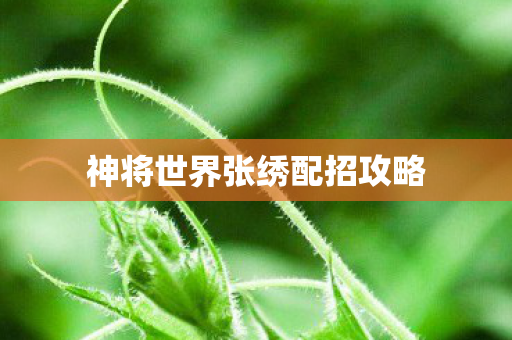 神将世界张绣配招攻略 神将世界张绣配招攻略
