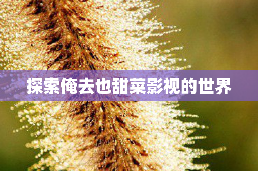 探索俺去也甜菜影视的世界