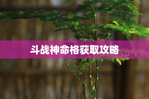 斗战神命格获取攻略 斗战神命格获取攻略