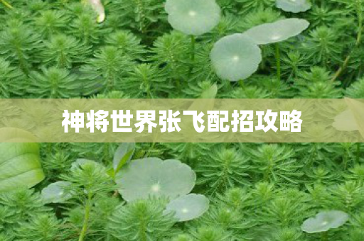 神将世界张飞配招攻略 神将世界张飞配招攻略