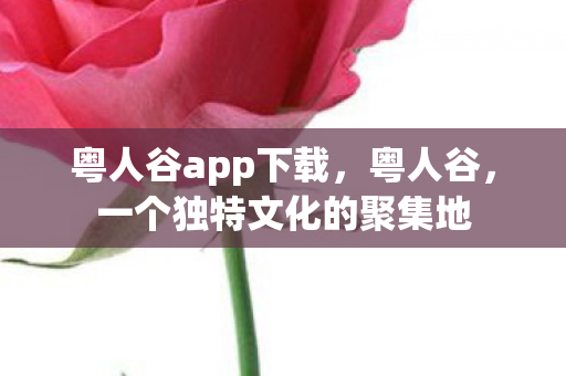 粤人谷app下载，粤人谷，一个独特文化的聚集地