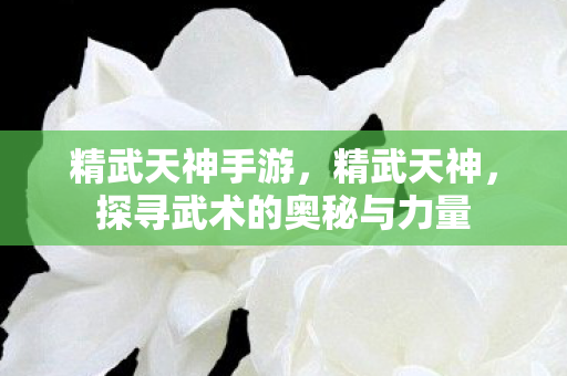 精武天神手游,精武天神,探寻武术的奥秘与力量 精武天神手游,精武天神,探寻武术的奥秘与力量