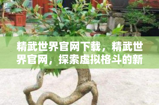 精武世界官网下载,精武世界官网,探索虚拟格斗的新纪元 精武世界官网下载,精武世界官网,探索虚拟格斗的新纪元