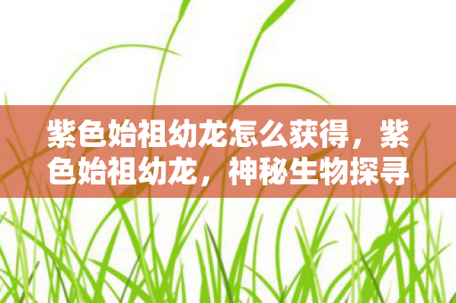 紫色始祖幼龙怎么获得，紫色始祖幼龙，神秘生物探寻之旅
