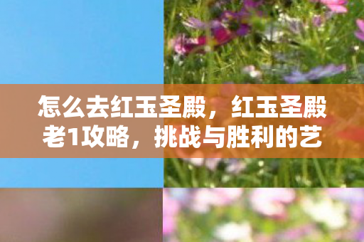 怎么去红玉圣殿，红玉圣殿老1攻略，挑战与胜利的艺术
