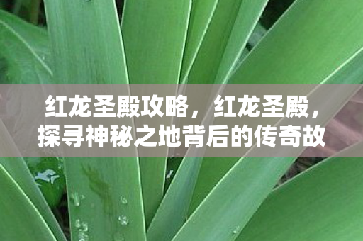红龙圣殿攻略,红龙圣殿,探寻神秘之地背后的传奇故事 红龙圣殿攻略,红龙圣殿,探寻神秘之地背后的传奇故事