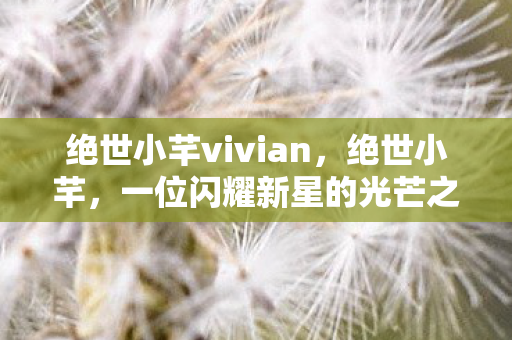 绝世小芊vivian，绝世小芊，一位闪耀新星的光芒之路