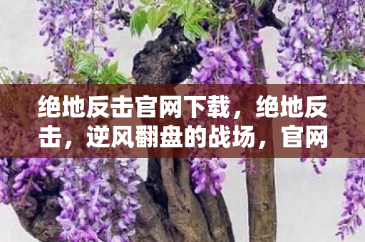 绝地反击官网下载，绝地反击，逆风翻盘的战场，官网的独特魅力与策略深度解析