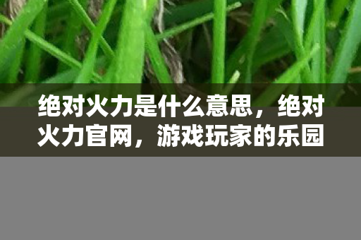 绝对火力是什么意思,绝对火力官网,游戏玩家的乐园 绝对火力是什么意思,绝对火力官网,游戏玩家的乐园