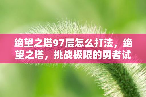 绝望之塔97层怎么打法,绝望之塔,挑战极限的勇者试炼场 绝望之塔97层怎么打法,绝望之塔,挑战极限的勇者试炼场
