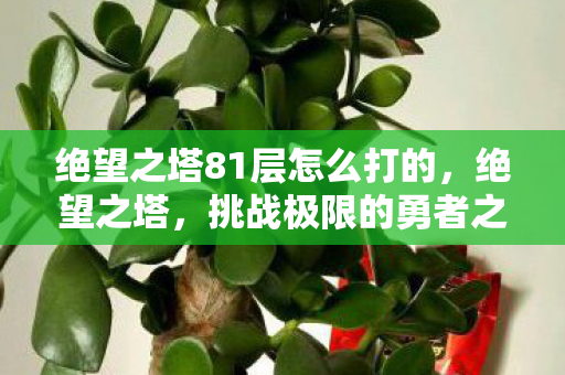绝望之塔81层怎么打的,绝望之塔,挑战极限的勇者之路(第一章) 绝望之塔81层怎么打的,绝望之塔,挑战极限的勇者之路(第一章)