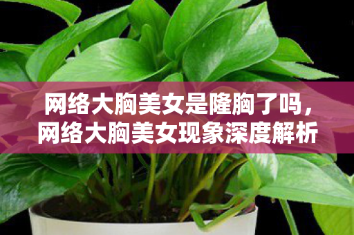 网络大胸美女是隆胸了吗,网络大胸美女现象深度解析 网络大胸美女是隆胸了吗,网络大胸美女现象深度解析