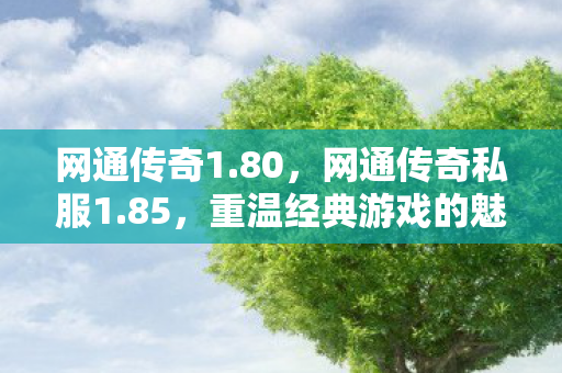 网通传奇1.80,网通传奇私服1.85,重温经典游戏的魅力与情怀 网通传奇1.80,网通传奇私服1.85,重温经典游戏的魅力与情怀