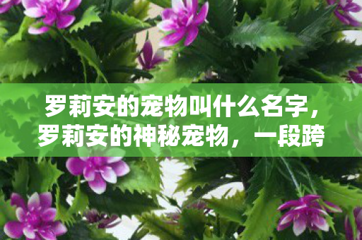 罗莉安的宠物叫什么名字,罗莉安的神秘宠物,一段跨越虚拟与现实的奇幻之旅 罗莉安的宠物叫什么名字,罗莉安的神秘宠物,一段跨越虚拟与现实的奇幻之旅