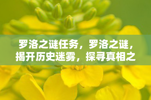 罗洛之谜任务,罗洛之谜,揭开历史迷雾,探寻真相之旅 罗洛之谜任务,罗洛之谜,揭开历史迷雾,探寻真相之旅