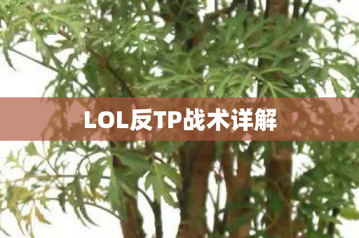 LOL反TP战术详解 LOL反TP战术详解