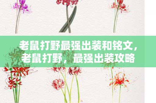老鼠打野最强出装和铭文,老鼠打野,最强出装攻略 老鼠打野最强出装和铭文,老鼠打野,最强出装攻略