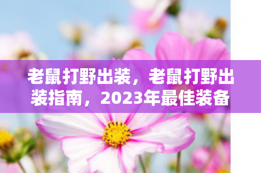 老鼠打野出装,老鼠打野出装指南,2023年最佳装备组合策略 老鼠打野出装,老鼠打野出装指南,2023年最佳装备组合策略