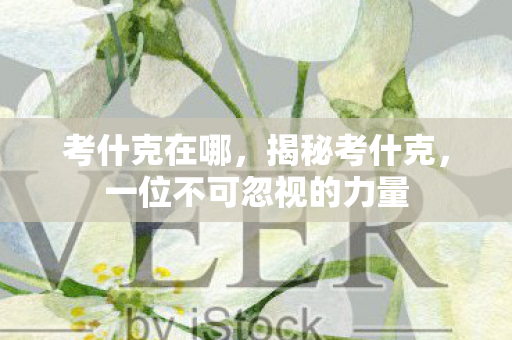 考什克在哪,揭秘考什克,一位不可忽视的力量 考什克在哪,揭秘考什克,一位不可忽视的力量