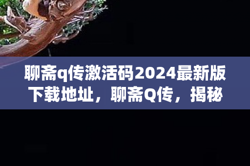 聊斋q传激活码2024最新版下载地址，聊斋Q传，揭秘神秘激活码的奇幻之旅