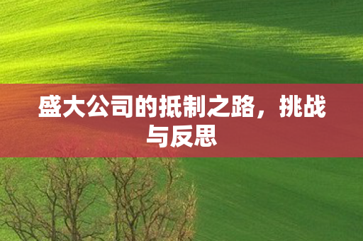 盛大公司的抵制之路，挑战与反思